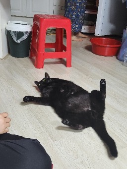 여동규 아바타