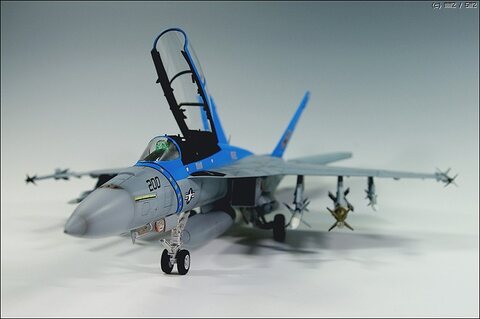 [Revell] F/A-18F SUPER HORNET - VFA-213 BLACK LIONS CAG BIRD, 2006