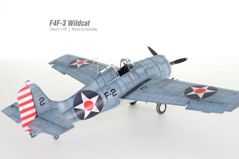 F4F-3 Wildcat_Eduard 1/48