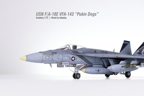 USN FA-18E "Pukin Dogs"_Academy 1/72