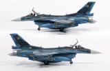 1/48 F-2A JASDF hasegawa & NBM21 Decals