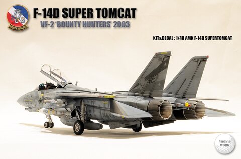 1/48 AMK F-14D