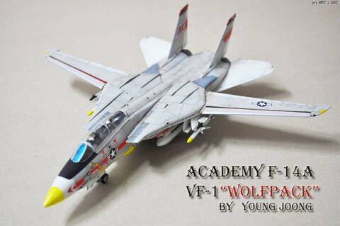ACADEMY 1:72 F-14A TOMCAT VF-1 'WOLFPACK'(VIETAM Ver.)