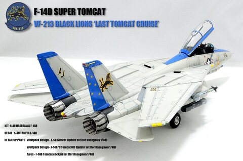 HASEGAWA 1/48 F-14D SUPER TOMCAT (VF-213)