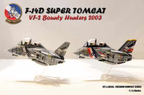 FREEDOM F-14D SUPER TOMCAT (VF-2)