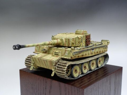 TIGER