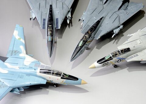 F-14A,B,D + Ali Cat