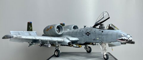 A-10C 3HOG