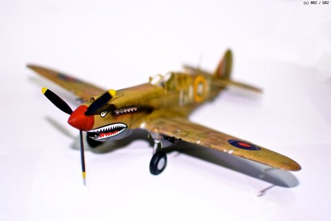P-40 Ace of African front