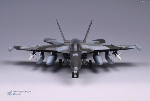 [Hasegawa] 1/48 EA-18G Aggressor Growler