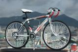 Leisure Bike Sprinter 커스텀 버전