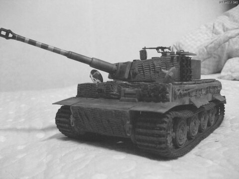 TIGER-1 (아카데미)