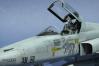[HASEGAWA]1/32『TIGER II』,F-5E ver.ROKAF