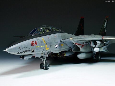 [Trumpeter 1/32] F-14D "Grim Reapers"
