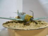 crash landed BF 109
