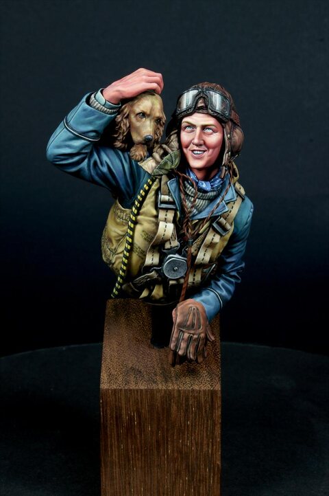 'The Few' RAF Fighter Pilot, 1940 Battle of Britain