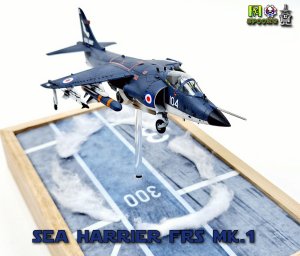 SEA HARRIER FRS Mk1 (이륙/주기 모드)