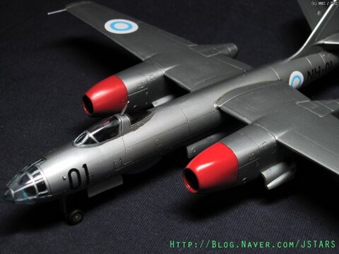 1/100 IL-28 Beagle