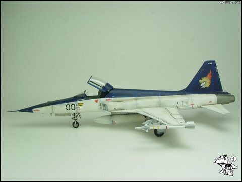 AREA88 카자마 신 전용기 F-5E