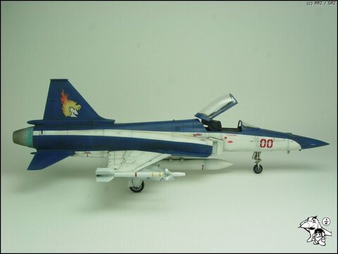 AREA88 카자마 신 전용기 F-20