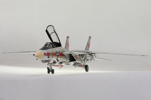 GRUMMAN F-14A TOMCAT [VF-1 WOLFPACK 1974]