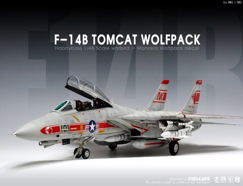 1/48 F-14B Tomcat / HobbyBoss + wolfpack decal / Monokio 완성