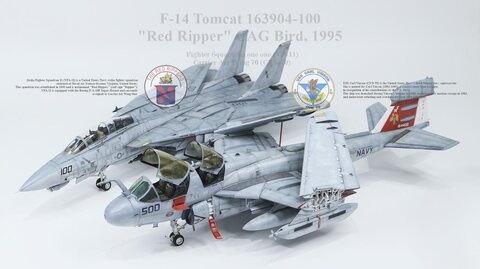 1/48 Tamiya F-14D VF-11 'Red Rippers'