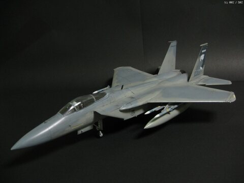 USAF F-15C MSIP EAGLE