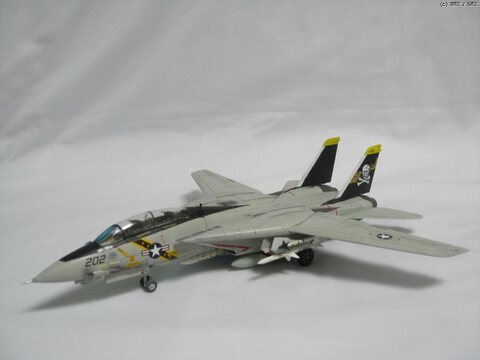 F-14A Jolly Rogers