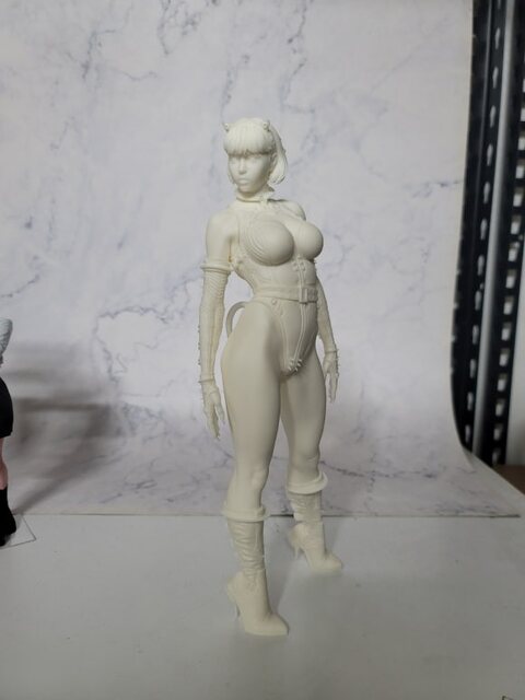 1/6 cat girl 레린피규어 완성