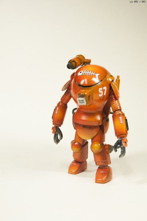 1/20 S.A.F.S. Type R Raccoon