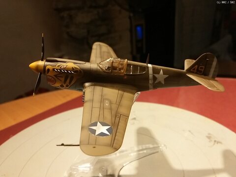 아카제 1/72 P-40 워호크... (열번째 비행기)