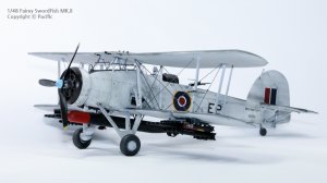1/48 SwordFish