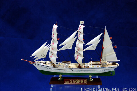 SAGRES Ⅱ (ACE, 1:350)