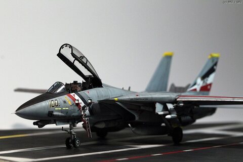 F-14D Bounty Hunters[1/48 하세가와]