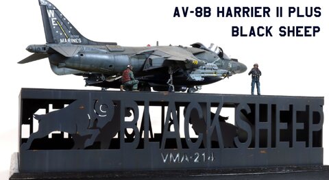 BKACK SHEEP (UMA 1/48 AV-8B Harrier II Plus)