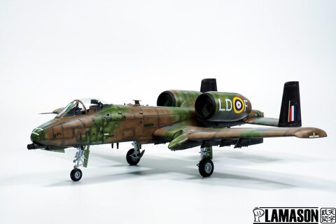 A-10C "RAF Special"