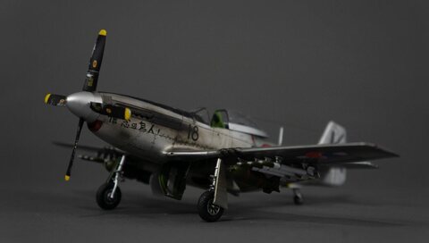 1/48 F-51 Mustang "신념의 조인"