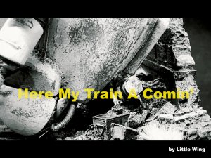 Ma.K 1/20 "Here my train a comin'"