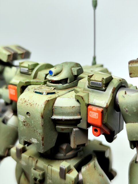 HG Tieren Ground Type
