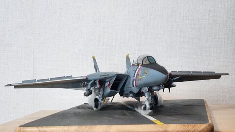 "Trap"  -  USN F-14D CAG bird of VF-2 "Bounty hunters" USS Constellation May,2003 the "Last Tomcat Cruise"