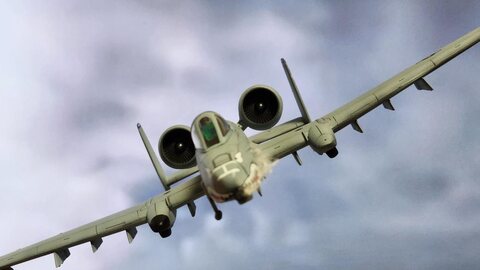 This is Warhog~!!!
