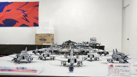 ROKAF Eliphant walk, suwon AB, March 2024