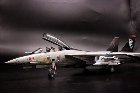 F-14D 그림리퍼스입니다.