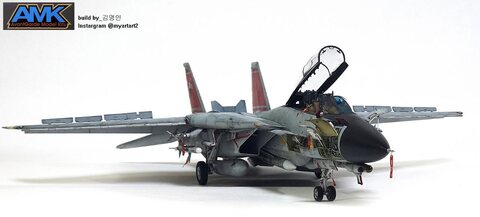 AMK 1:48 F-14D `Tomcatters`