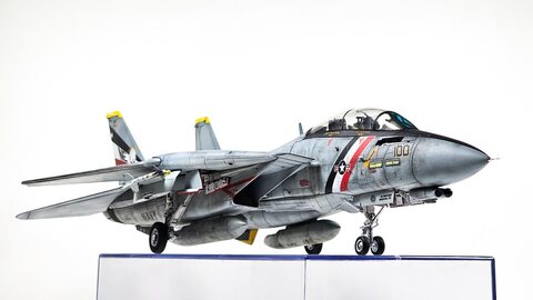 [AMK] F-14D "Bounty Hunters, TARPS"