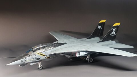 톰형이 떠오르는 아카데미 F-14 완성했습니다