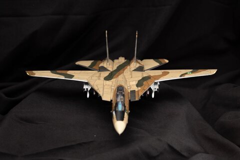 Academy F-14A Ali Cat