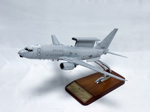 E-737 완성작 입니다!