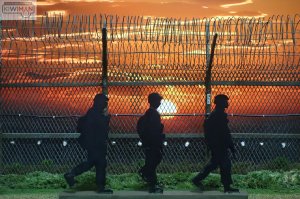 1/20 DMZ 철책선